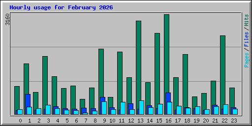Hourly usage for February 2026