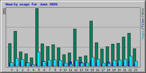 Hourly usage for June 2026