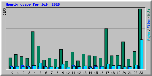 Hourly usage for July 2026