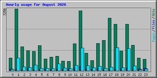 Hourly usage for August 2026